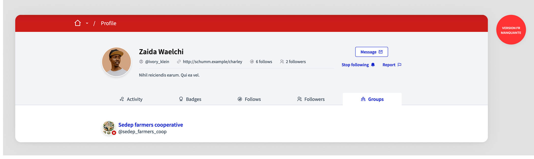 Public profile groups tab