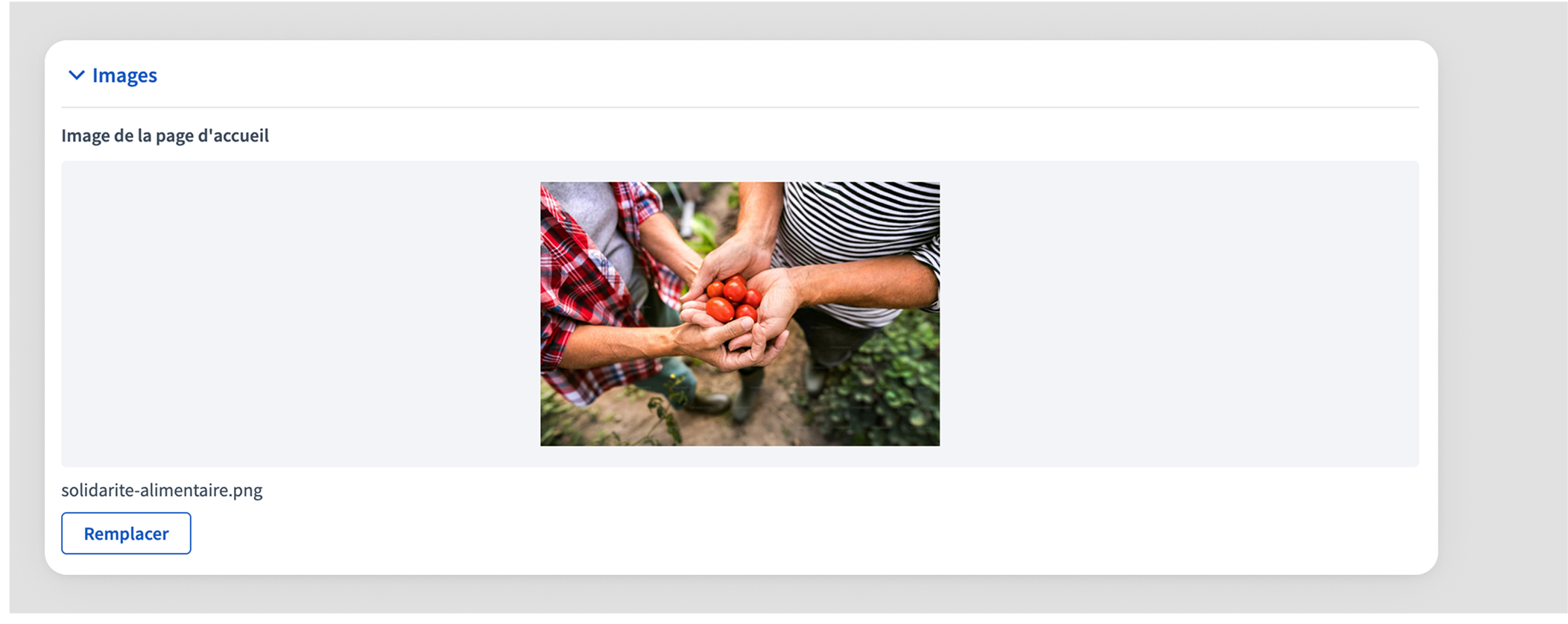 New participatory process form images section
